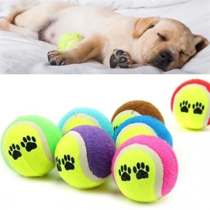 BFS   3lü Renkli Desenli Tenis Topu Kedi Köpek Oyuncağı