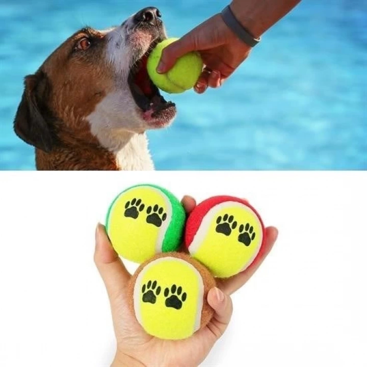BFS   3lü Renkli Desenli Tenis Topu Kedi Köpek Oyuncağı