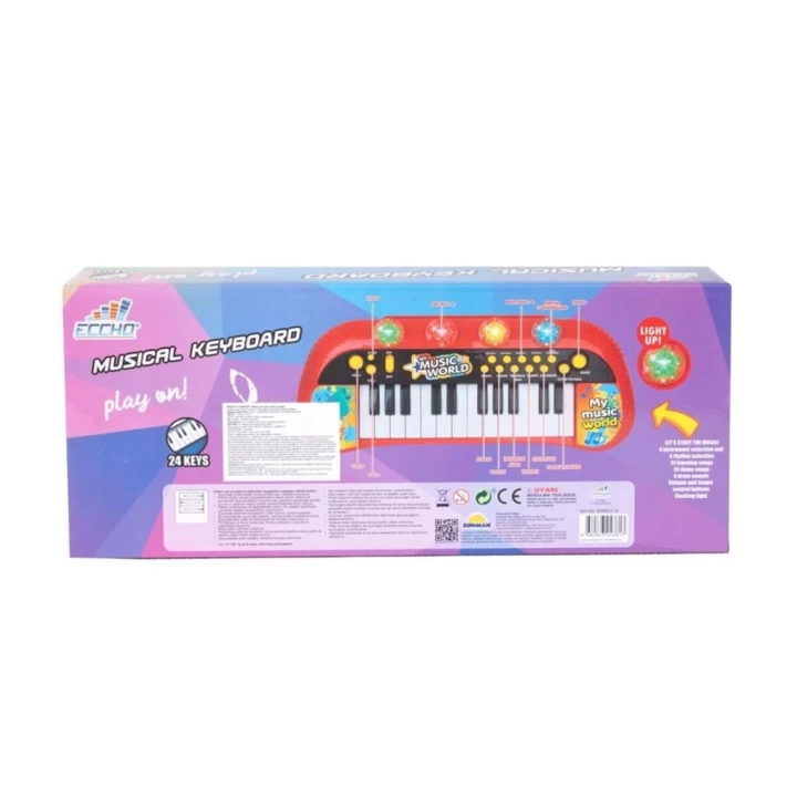 BFS   4381 Elektronik Org 24 Tuş