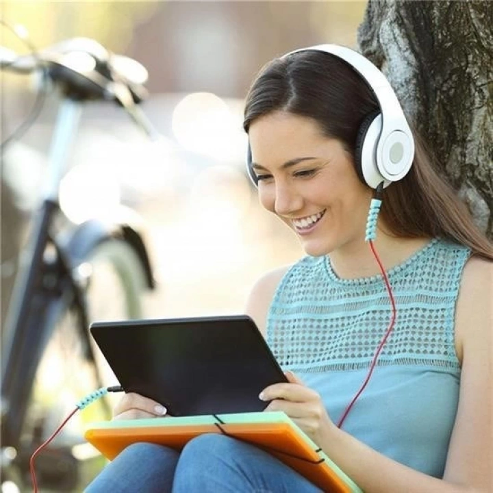 BFS  4lü Apple, Android Şaj Kablosu Koruyucu Silikon Spiral Yay Aparat