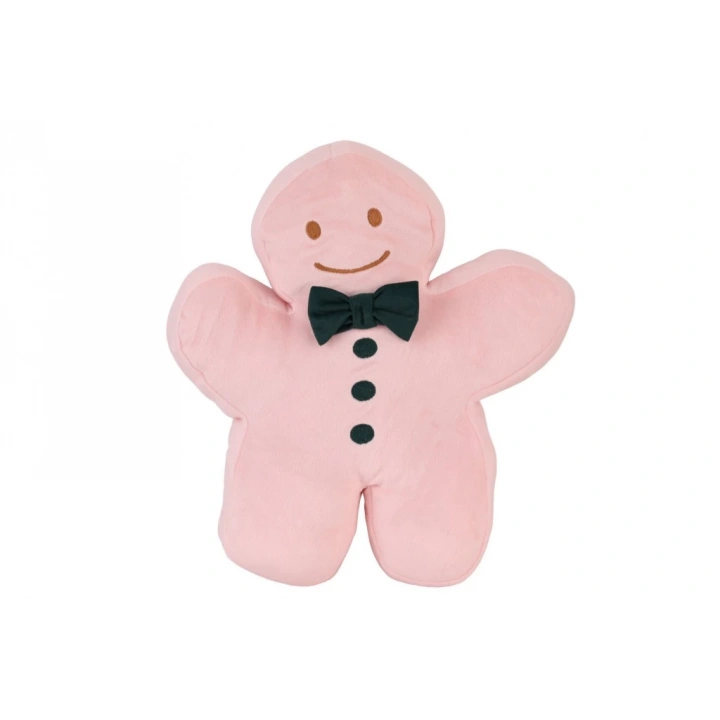 BFS  5629 Pembe Kurabiye