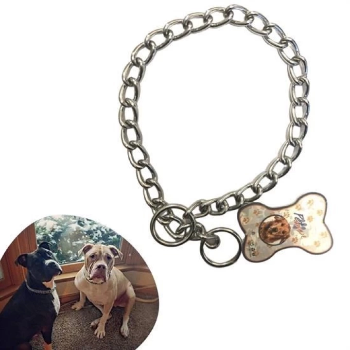 BFS  65 cm Uzunlukta Zincir Model Köpek İçin Boyun Tasması