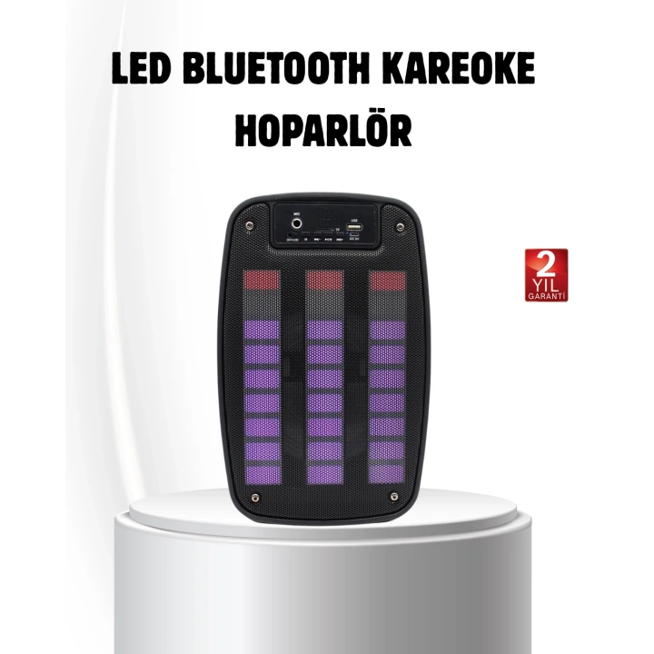 BFS 6.5” LED Işıklı GTS 1793 Bluetooth Hoparlör Güçlü Bass ve FM Destekli