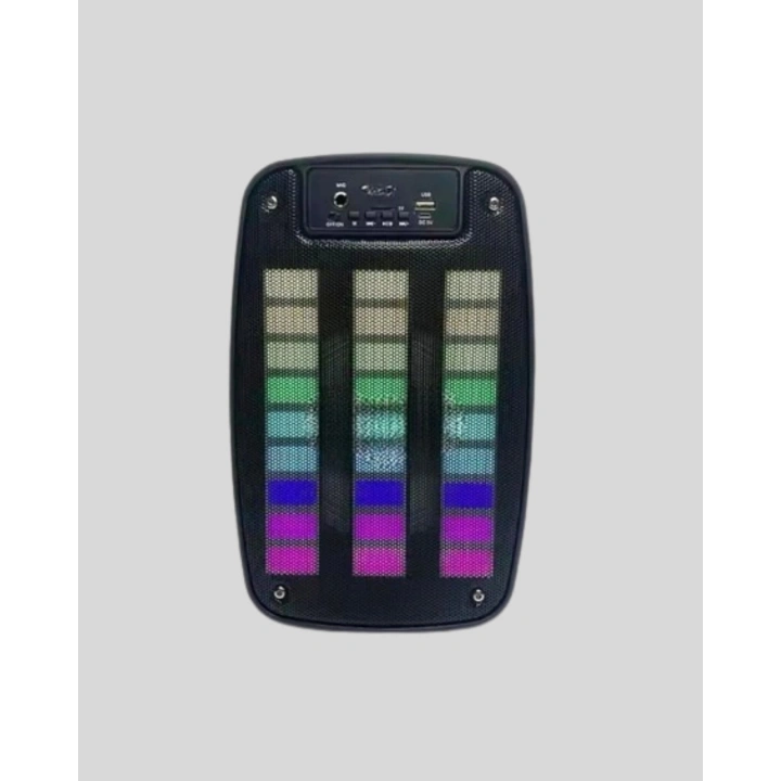 BFS 6.5” LED Işıklı GTS 1793 Bluetooth Hoparlör Güçlü Bass ve FM Destekli