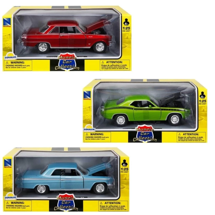 BFS   71853 1:25 Muscle Model Araba