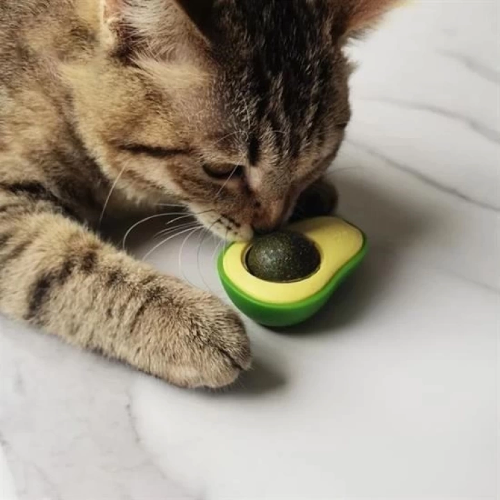BFS  Avokado Model Yapışkanlı Kedi Oyuncağı Yenilebilir Kedi Nanesi Otu