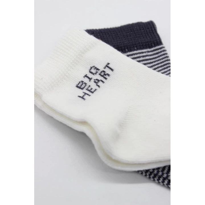 BFS   Bistyle Big Heart Penye Soket Çorap 2Li BS10117 Antrasit
