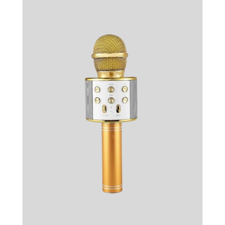 BFS Bluetooth Karaoke Mikrofon Şarjlı Uzun Pil Ömürlü Çok Fonksiyonlu