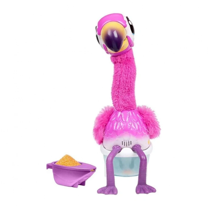 BFS  Dans Eden Flamingo LPG00000