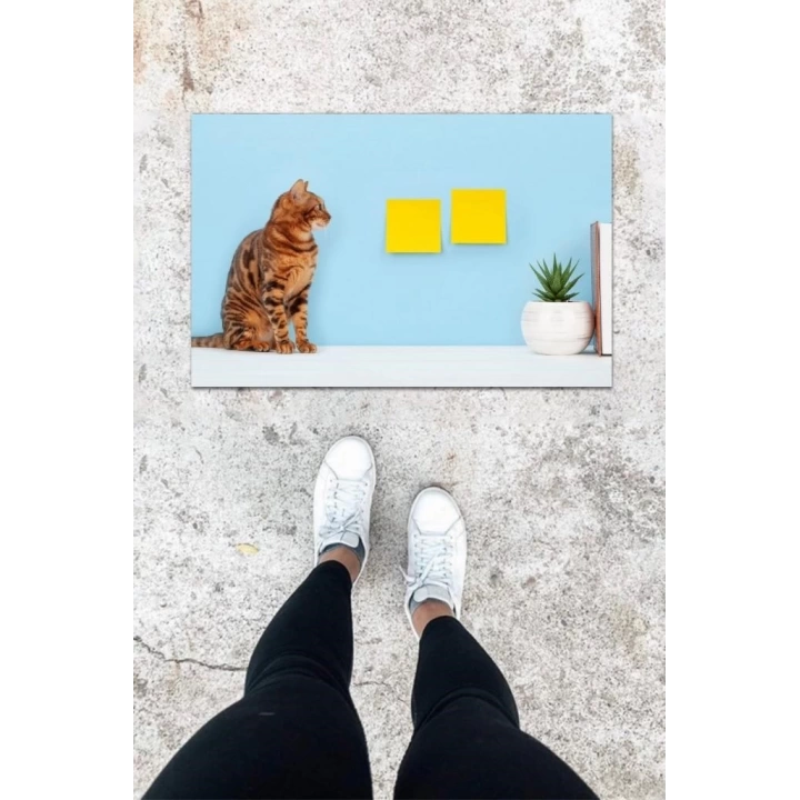BFS Dijital Baskı Mavi Sarman Kedi Desen Kapı Önü Paspası K-1029