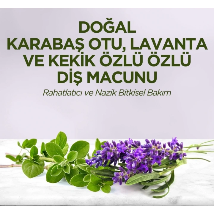BFS   Doğal Diş Macunu 90 Gr Karabaş Otu & Lavanta ve Kekik Özlü