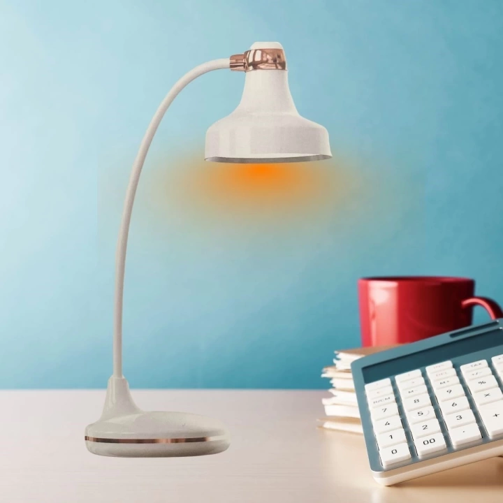 BFS  Dokunmatik 3 Farklı LED Işıklı Çalışma Masası Üstü Lamba
