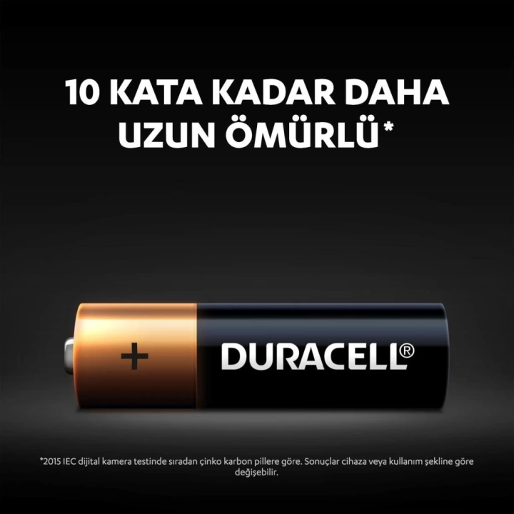 BFS   Duracell Basic D Boy Pil 2Li