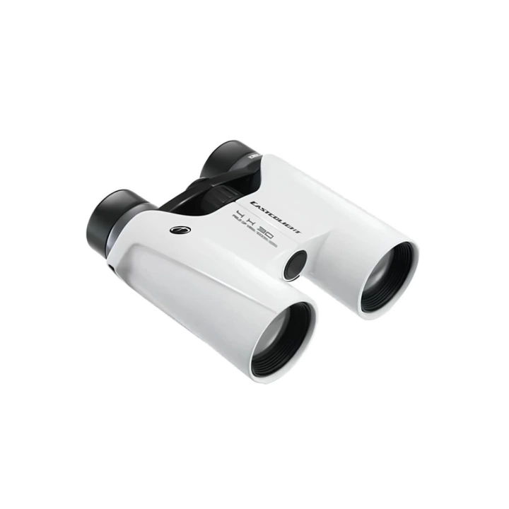 BFS  Dürbün 4X30