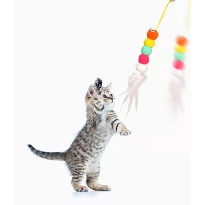 BFS  Elastik Kendinden Yapışkanlı Solucan Kedi Oltası