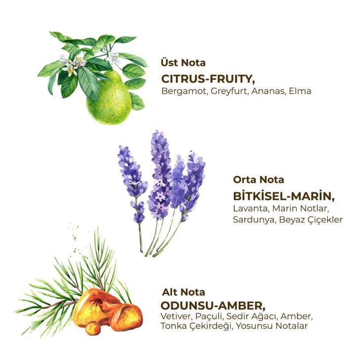 BFS Erkek Roll On Deodorant 75 ml Active