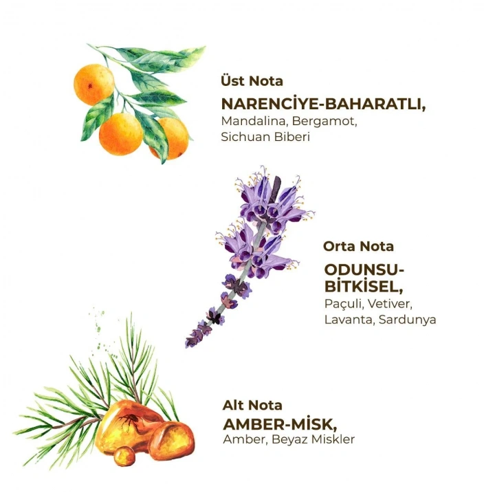 BFS  Erkek Roll On Deodorant 75 ml Sport