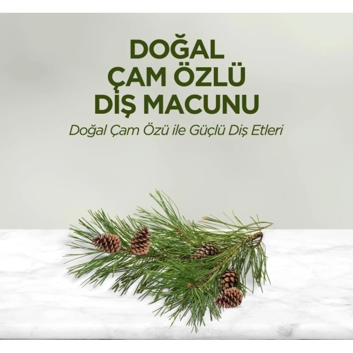 BFS   Eyüp Sabri Tuncer Doğal Diş Macunu 90 Gr Çam Özlü