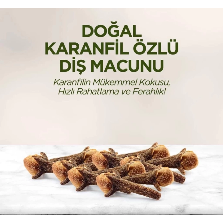 BFS   Eyüp Sabri Tuncer Doğal Diş Macunu 90 Gr Karanfil