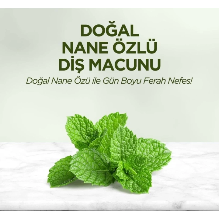 BFS   Eyüp Sabri Tuncer Doğal Diş Macunu 90 Gr Nane Özlü