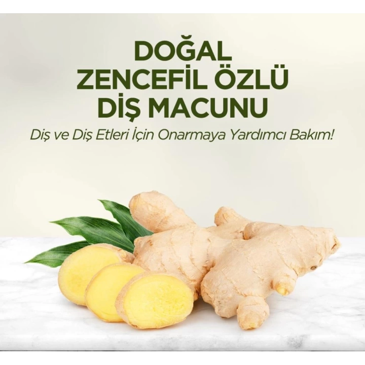 BFS   Eyüp Sabri Tuncer Doğal Diş Macunu 90 Gr Zencefil Özlü