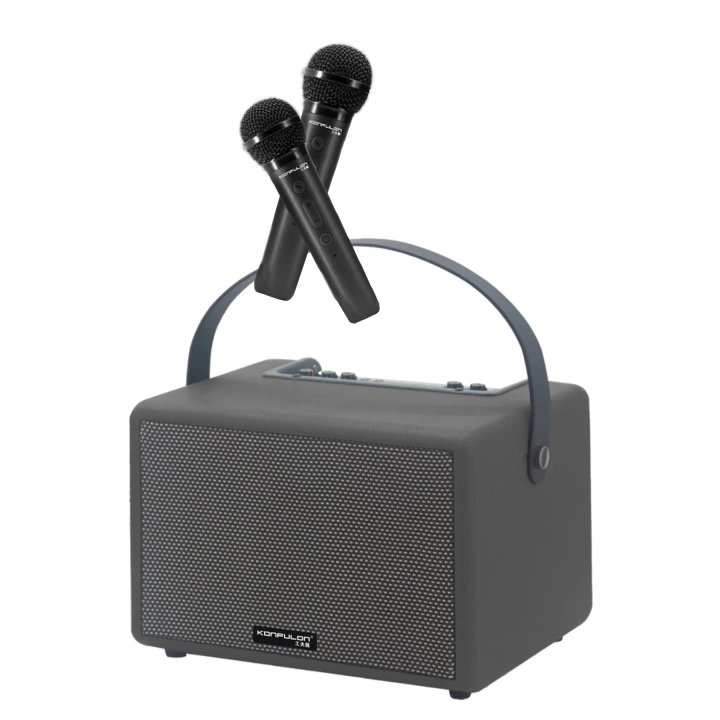 BFS  F31 50W Sürücülü 2 Adet Mikrofonlu BT 5.2 Kablosuz Hoparlör - Siyah