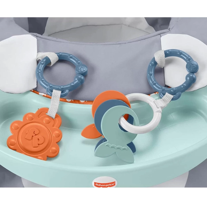 BFS   Fisher Price Tepsili Ana Kucağı HBF27