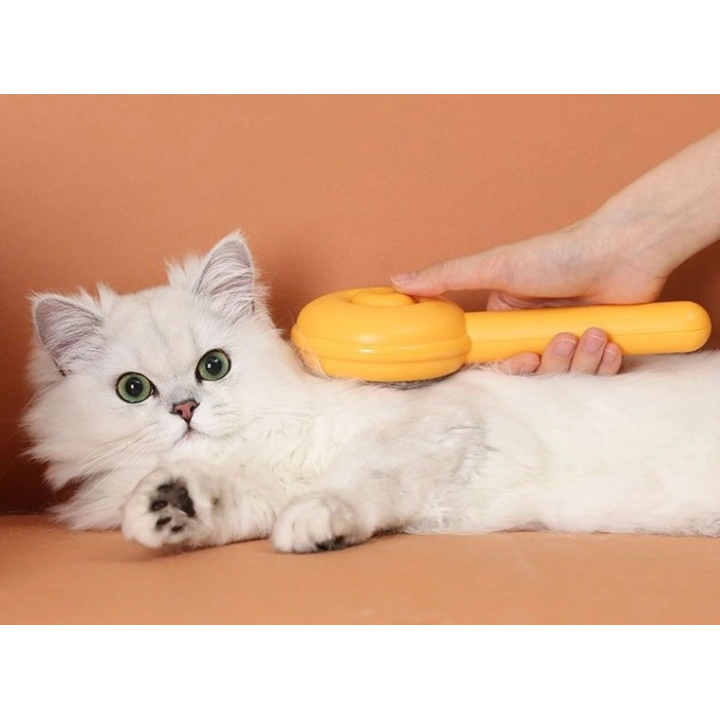 BFS Hamburger Şekilli Otomatik Temizlenen Evcil Hayvan Fırçası