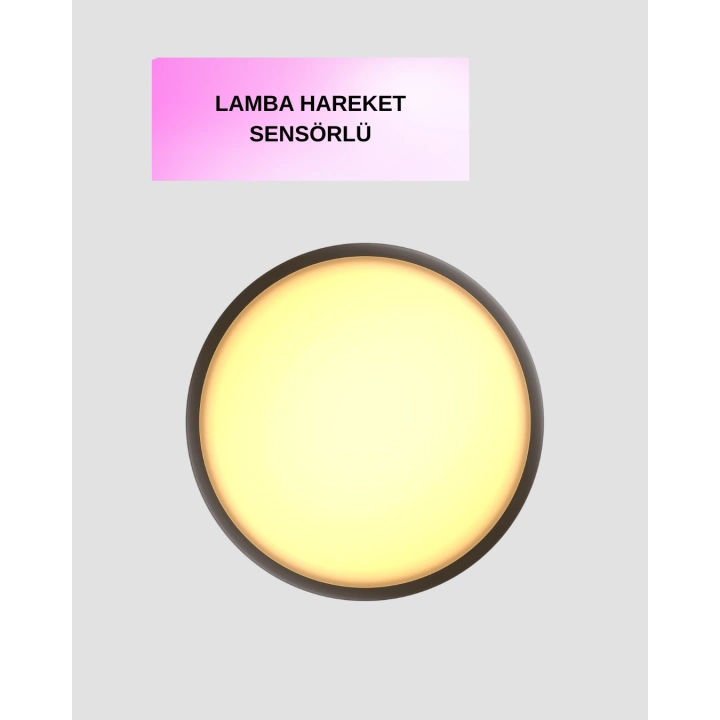 BFS Hareket Algılayan LED Gece Lambası Mıknatıslı Duvar Montajlı