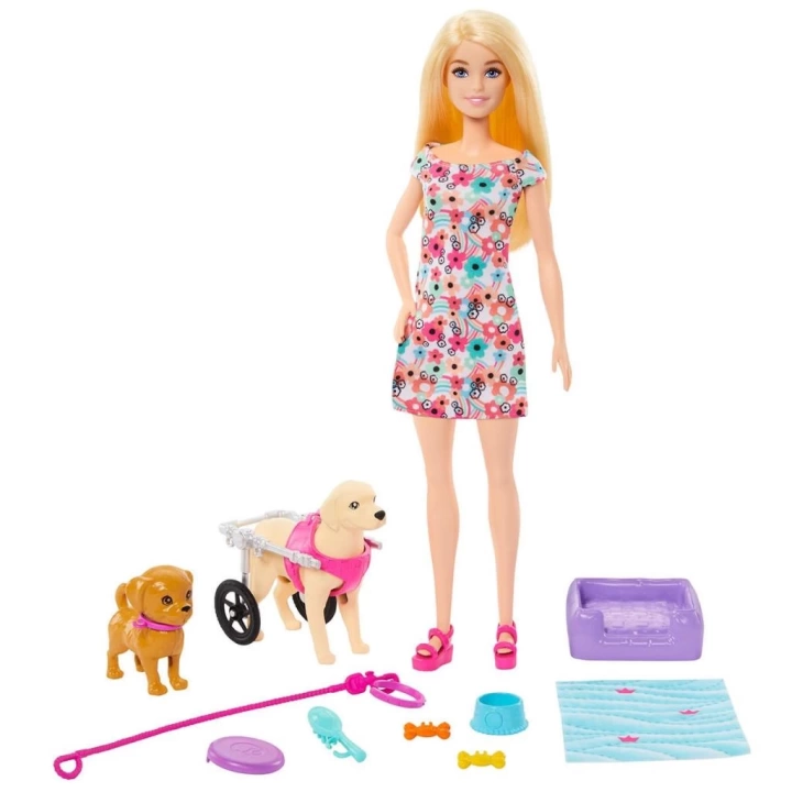 BFS   HTK37 Barbie ve Engelli Köpeği Oyun Seti