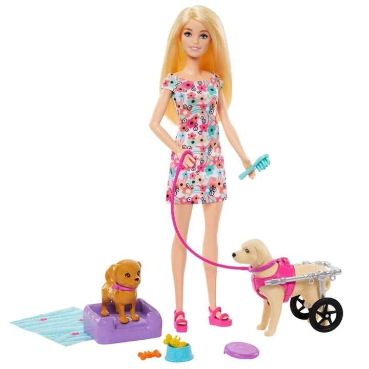 BFS   HTK37 Barbie ve Engelli Köpeği Oyun Seti