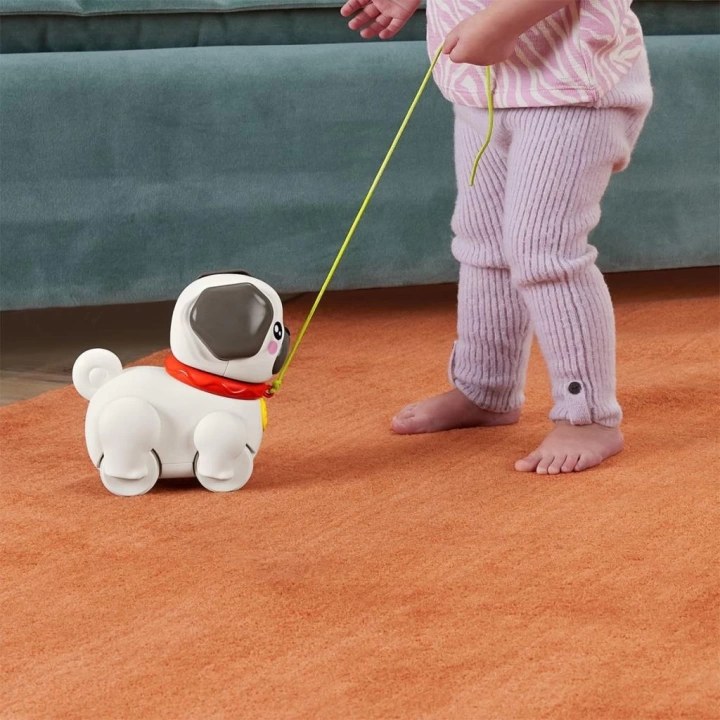 BFS   HTW94 Fisher-Price  Minik Dostumla Yürüyüş