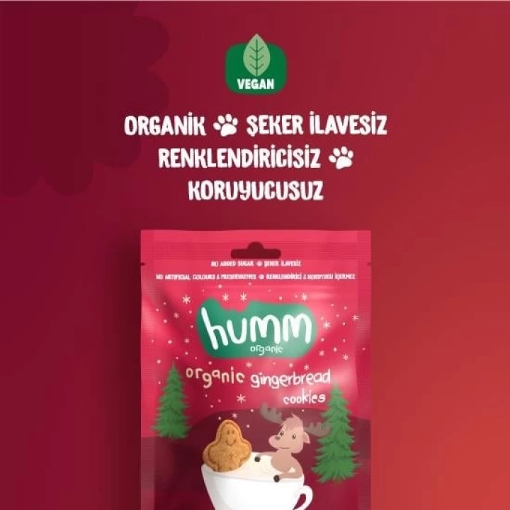 BFS   Humm Organik Zencefilli ve Tarçınlı Vegan Kurabiye 55 Gr