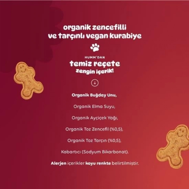 BFS   Humm Organik Zencefilli ve Tarçınlı Vegan Kurabiye 55 Gr