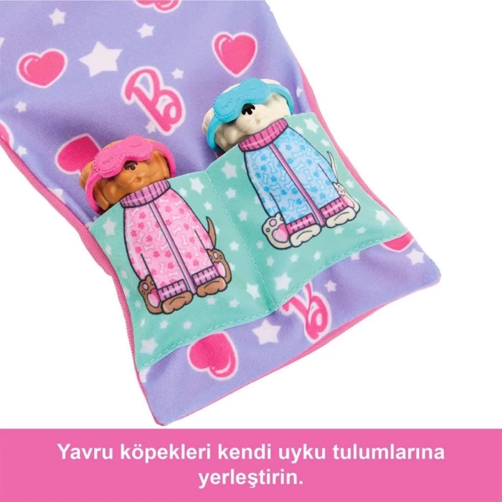 BFS   HXN01 Barbie ve Köpekçikleri Pijama Partisi
