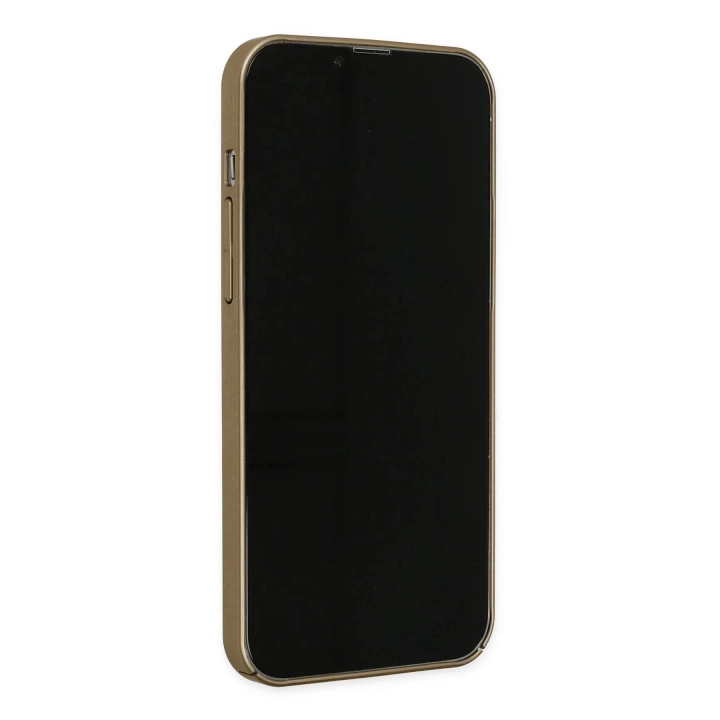 BFS  iPhone 12 Kılıf Jack Magneticsafe Lens Silikon - Gold