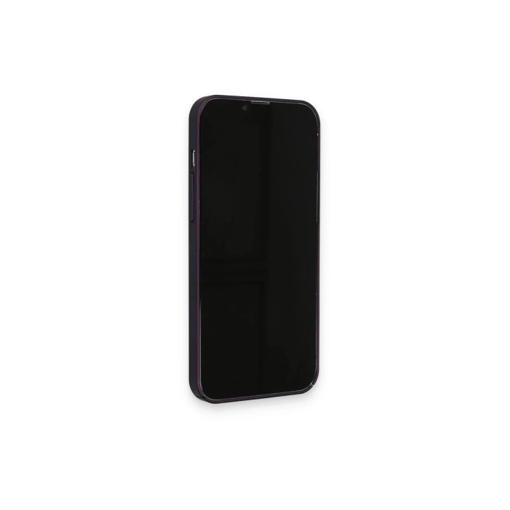 BFS  iPhone 12 Kılıf Jack Magneticsafe Lens Silikon - Mürdüm