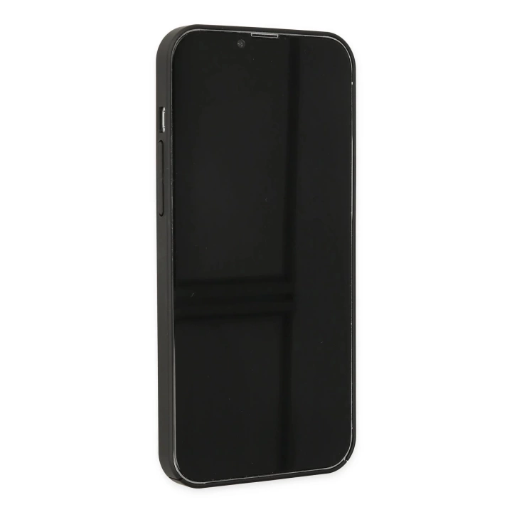 BFS  iPhone 12 Kılıf Jack Magneticsafe Lens Silikon - Siyah