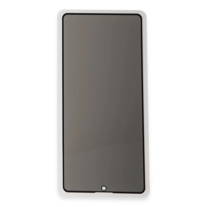 BFS  iPhone 12 Pro Max 3D Antistatik Hayalet Cam Ekran Koruyucu