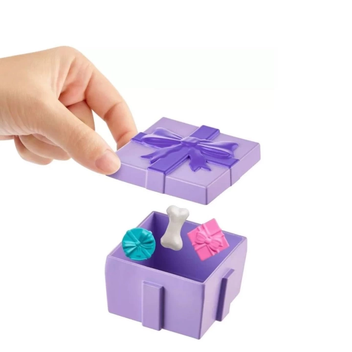 BFS   JCC33 Polly Pocket Pollynin Doğum Günü Partisi Paketi