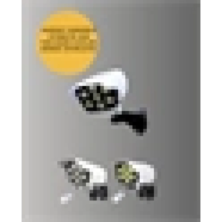 BFS Kablosuz, Güneş Paneliyle Şarj Olan Dış Mekan Lambası – 8-10 Saat Aydınlatma Süresi