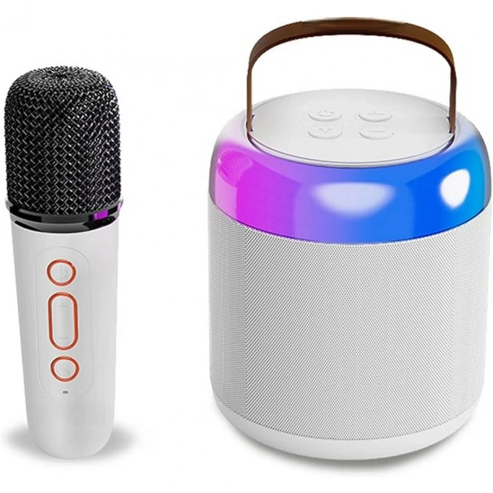 BFS Kablosuz Mikrofonlu ve Işıklı Hoparlör