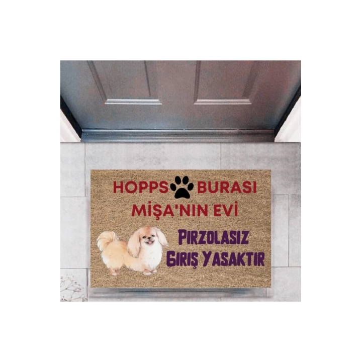 BFS Kapı Önü Paspası Dekoratif Dijital Baskı Hopps  P-2474