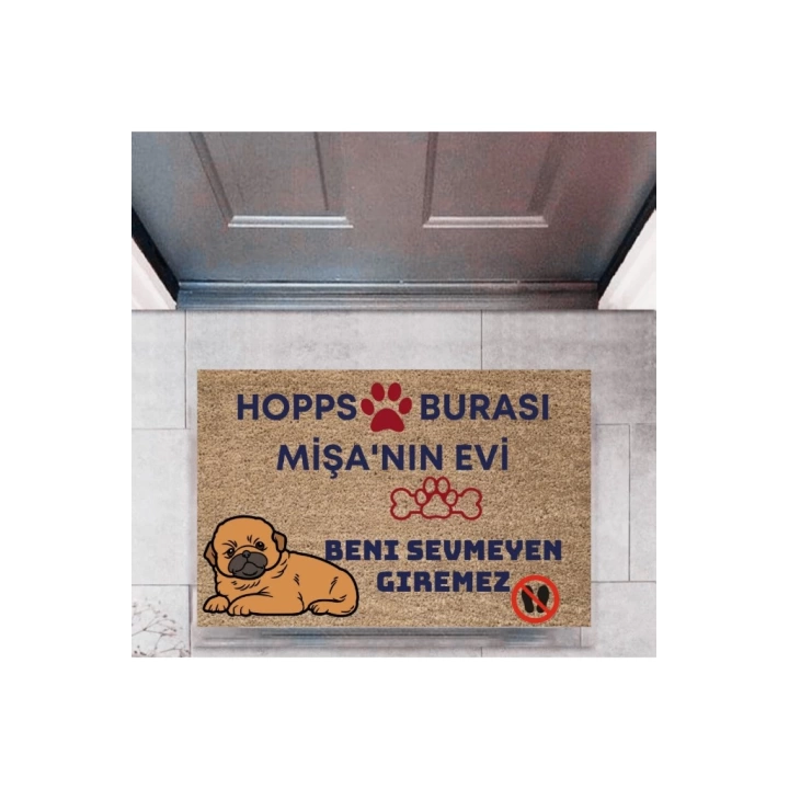BFS Kapı Önü Paspası Dekoratif Dijital Baskı Hopps  P-2475