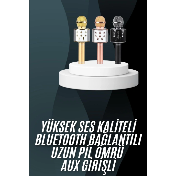 BFS Karaoke Mikrofon Bluetooth Bağlantılı Aux Girişli Uzun Pil Ömrü Yüksek Ses Kaliteli