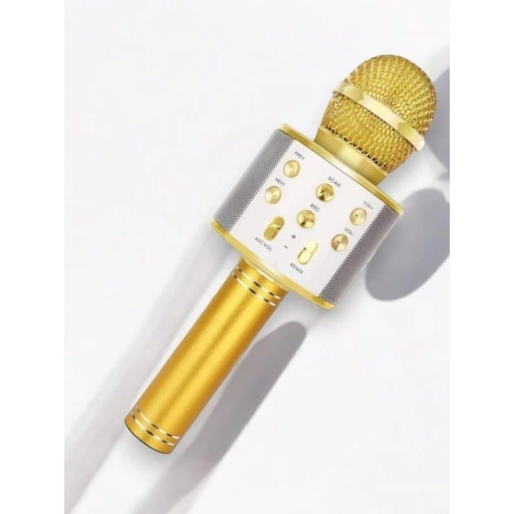 BFS KAREOKE  MIKROFON