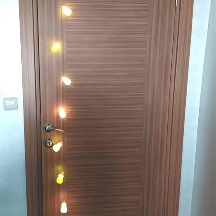 BFS  Karışık Renk Dekoratif Ananas Dolama 10’lu Şerit Led Işık Zinciri