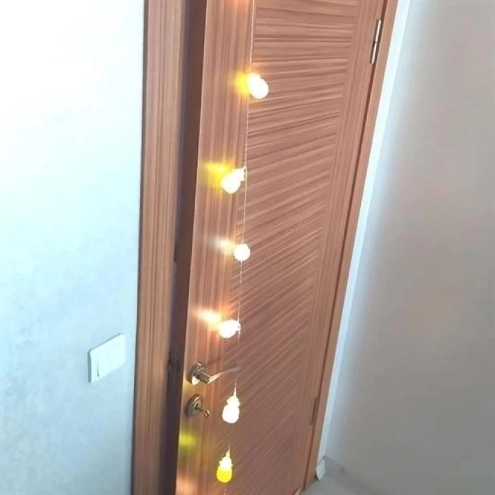BFS  Karışık Renk Dekoratif Ananas Dolama 10’lu Şerit Led Işık Zinciri