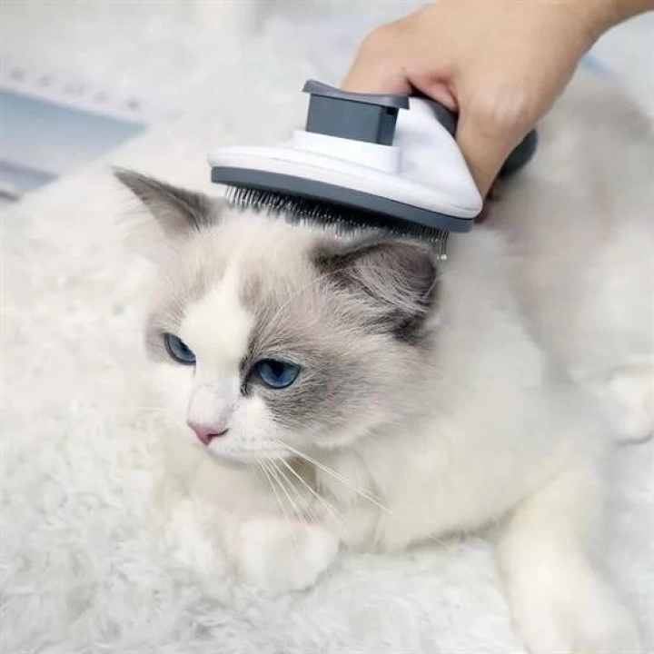 BFS  Kedi Köpek Tüy Toplayıcı Kendini Temizleyebilen Ergonomik Rahat Evcil Hayvan Tarağı Gri