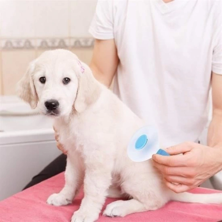 BFS  Kedi Köpek Tüy Toplayıcı Kendini Temizleyebilen Ergonomik Saplı Evcil Hayvan Tarağı Mavi
